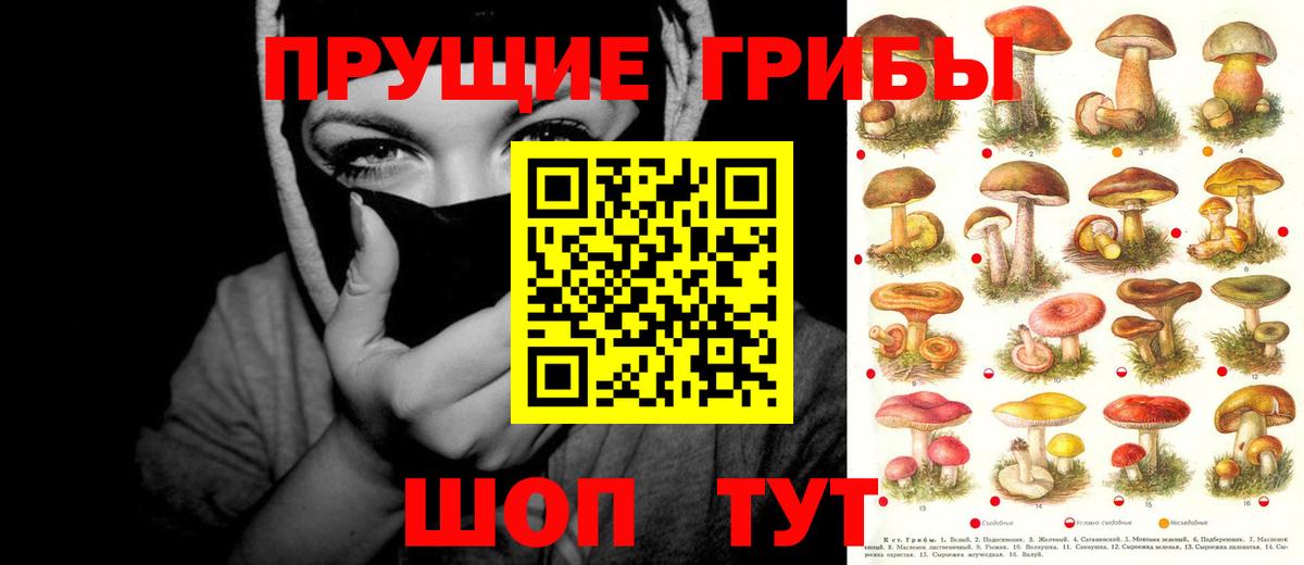 Каменка  Галлюциногенные грибы Psilocybine cubensis  Галлюциногенные грибы Psilocybe  Вход с VPN 