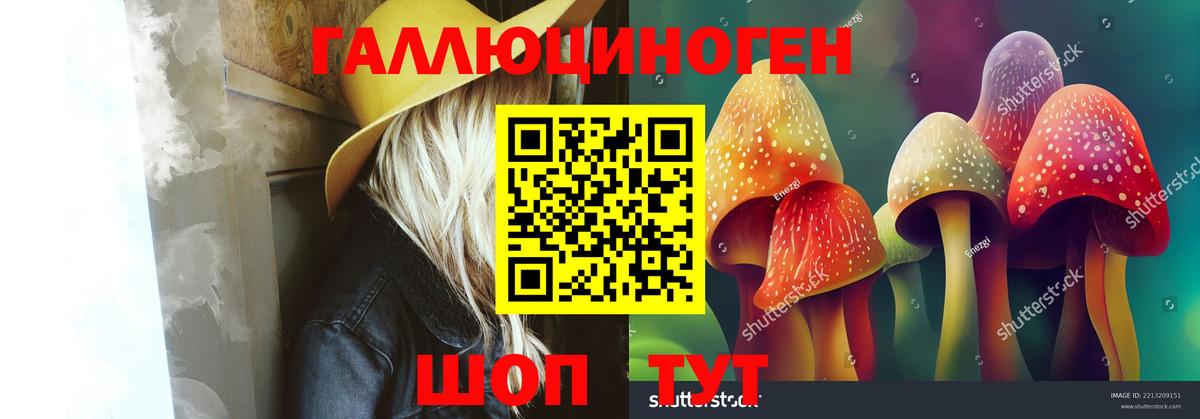 Псилоцибиновые грибы Psilocybine cubensis Каменка